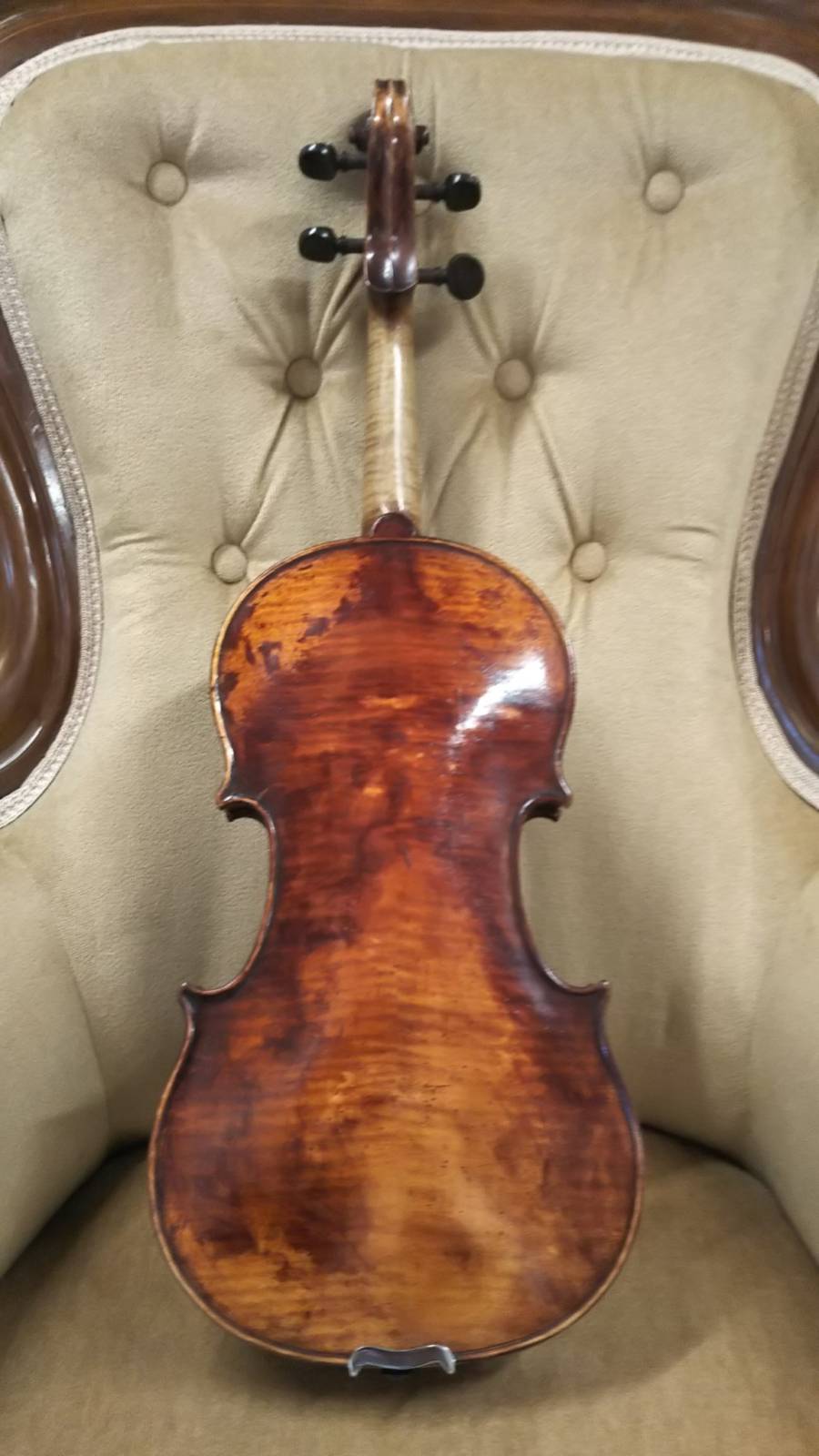新入荷バイオリン