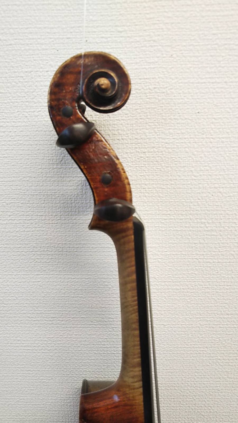 Violin  Gustave Bernardel  work shop 1890年頃