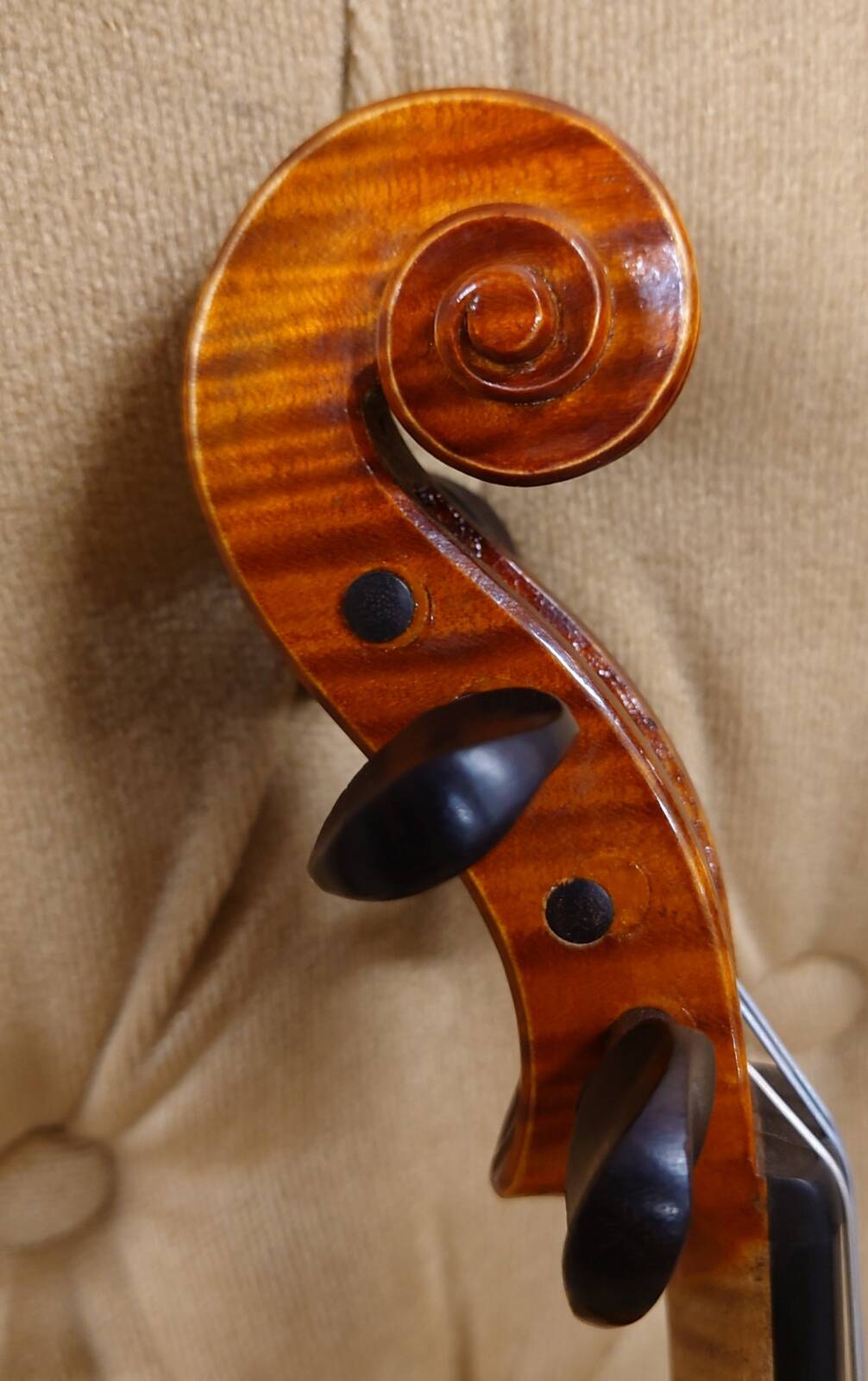 Giovanni Battista Panizzi  ca.1950 San Remo Italy