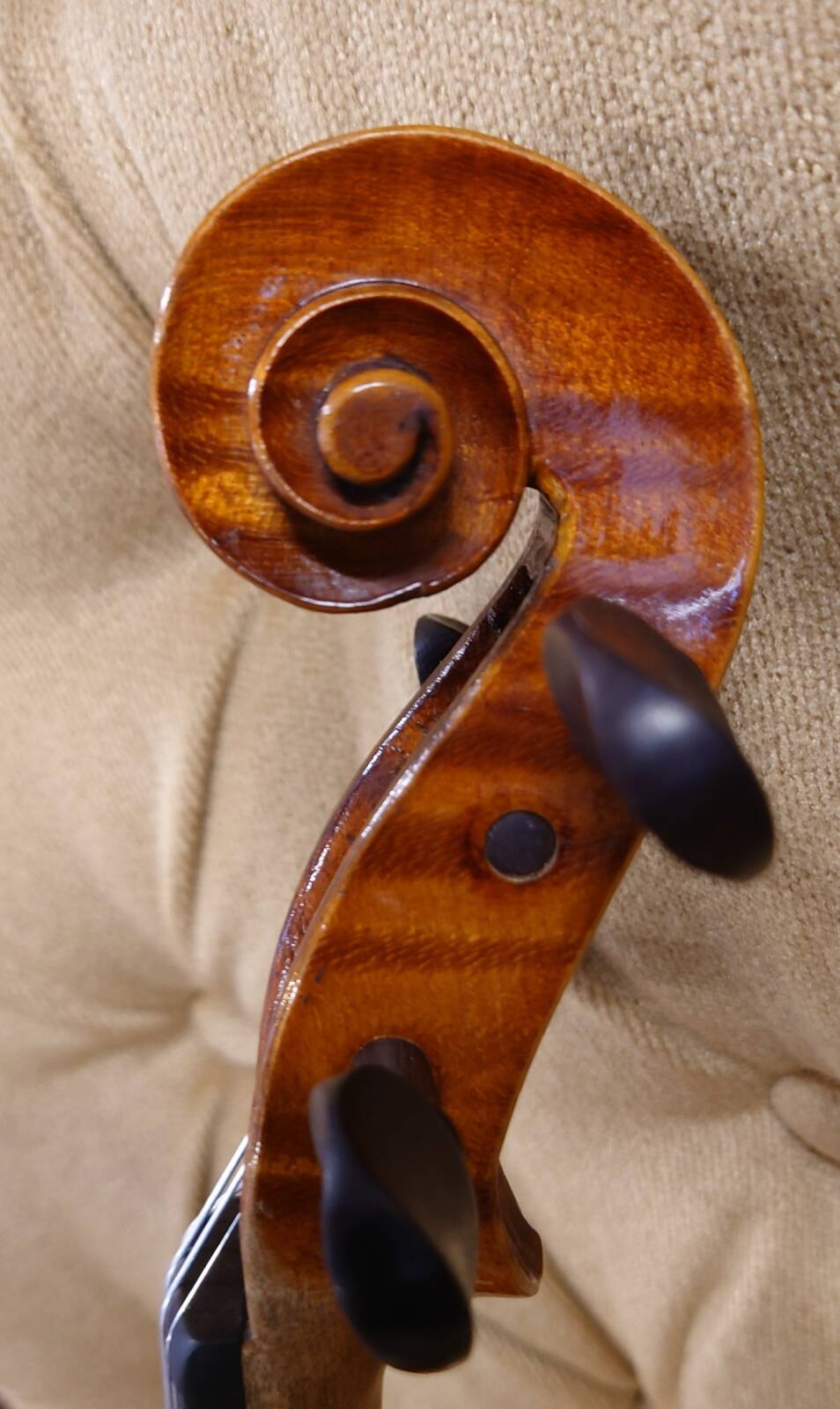 French violin J.T.L brand Barrel　ca.1900
